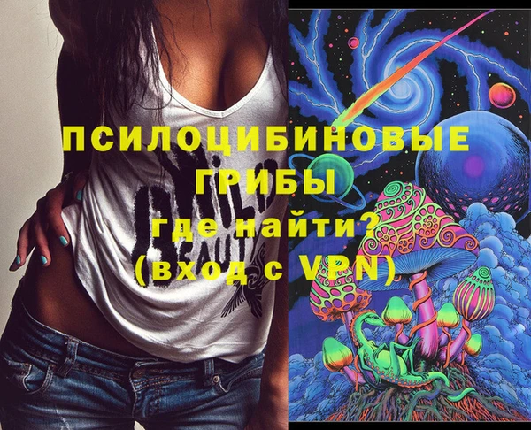 шишки Каменногорск