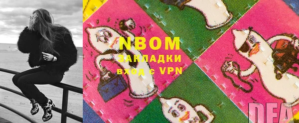 шишки Каменногорск