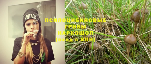 первитин Инсар