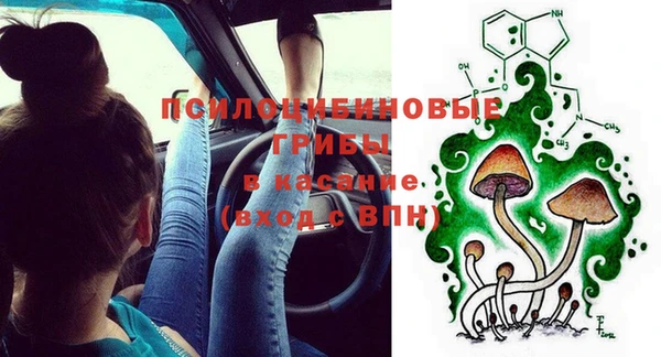 таблы Инта