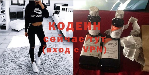 шишки Каменногорск