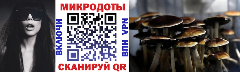 Галлюциногенные грибы мицелий  нарко площадка как зайти  Зеленокумск  закладки 