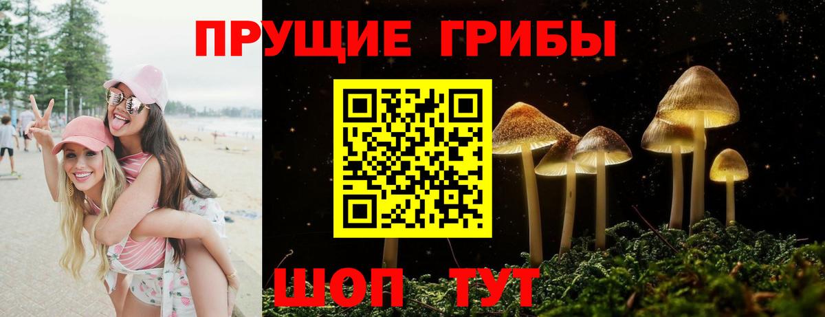 Галлюциногенные грибы Psilocybine cubensis Зеленокумск